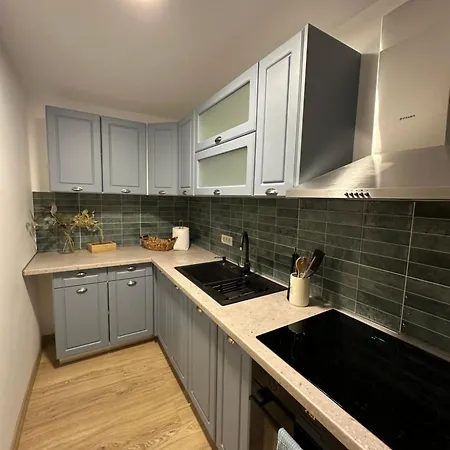 Schei House * בראשוב