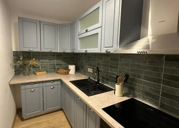 Schei House * 브라쇼브